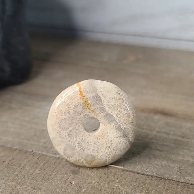 Petrified Corral Buttons - Jewelry