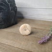 Petrified Corral Buttons - Jewelry