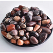 🌳✨ Petrified Wood Tumble – Ancient Wisdom Grounding & Gentle Transformation! 🪵 Tumbles