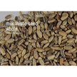 🌿✨ Pre-Packaged Herbs By The Ounce (1 oz) – Ritual Healing and Botanical Magic! 🍃 Page 1 - Milk Thistle - Herbs &