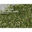 🌿✨ Pre-Packaged Herbs By The Ounce (1 oz) – Ritual Healing and Botanical Magic! 🍃 Page 1 - Skullcap - Herbs &