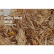 🌿✨ Pre-Packaged Herbs By The Ounce (1 oz) – Ritual Healing and Botanical Magic! 🍃 Page 1 - Arnica - Herbs & Accessories