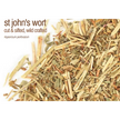 🌿✨ Pre-Packaged Herbs By The Ounce (1 oz) – Ritual Healing and Botanical Magic! 🍃 Page 1 - St John’s Wort - Herbs &