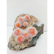🌟 Rare Moroccan Orange Magnesite & Quartz Zeolite Specimen 🌄 - Specimens