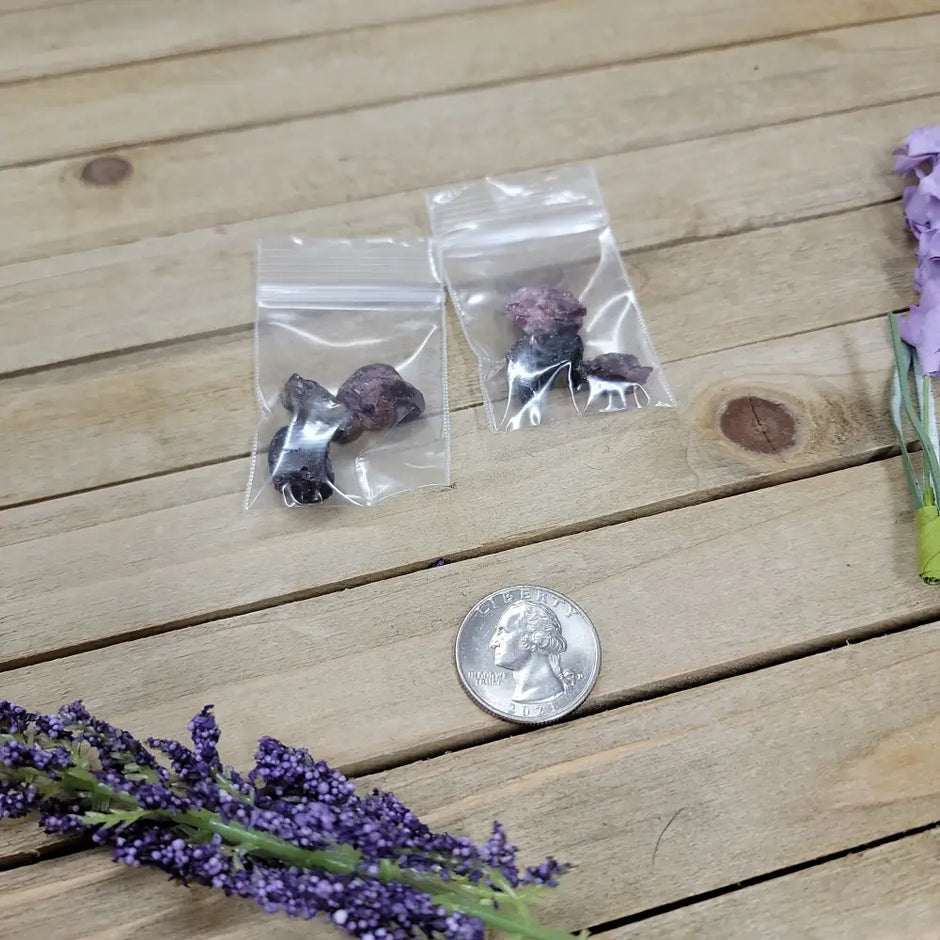 Raw Garnet Tumbles Specimens - Chip Bags - Tumbles