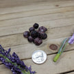 Raw Garnet Tumbles Specimens - SML - Tumbles