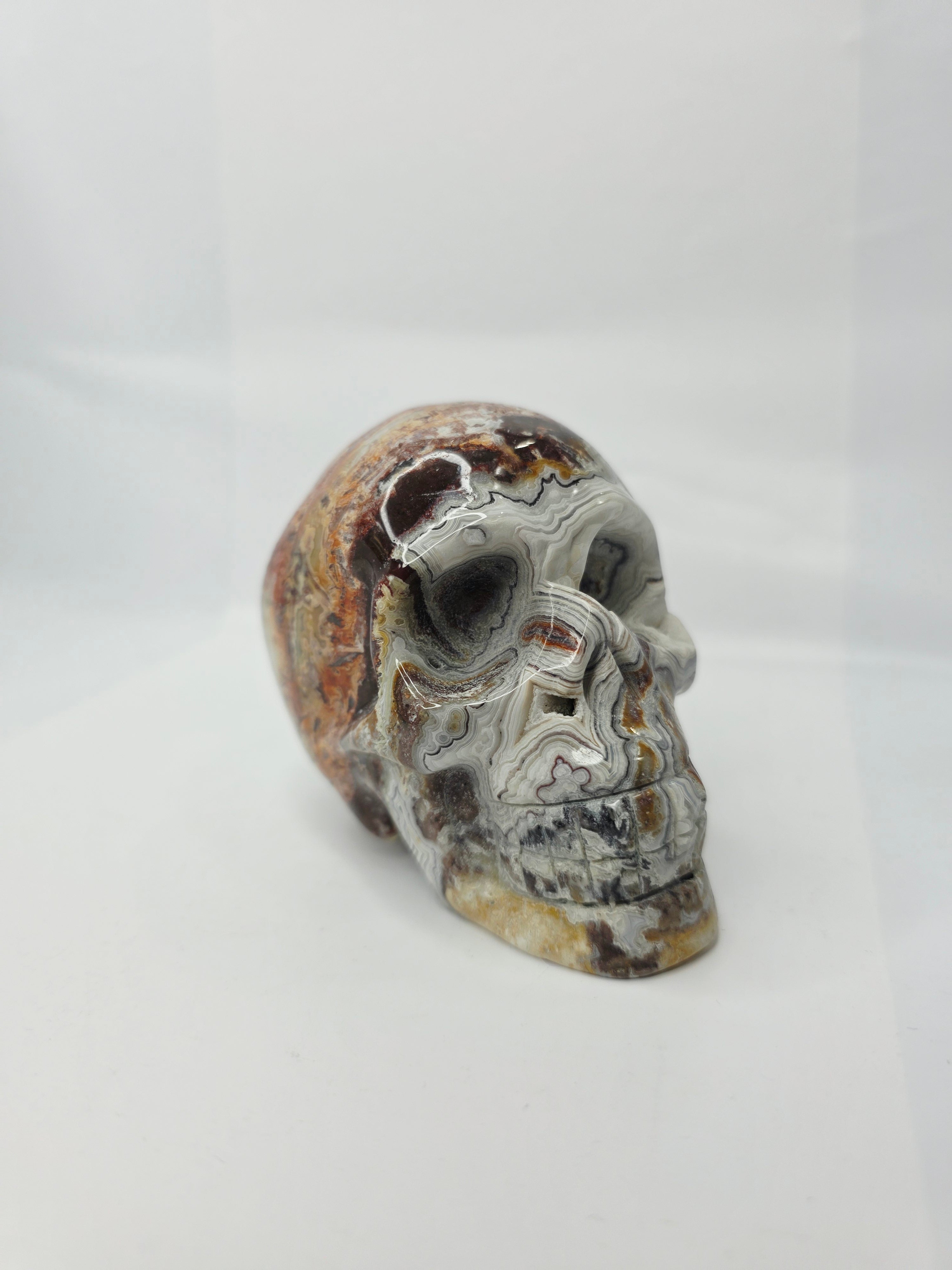 Mexican Crazy Lace Agate Skull (4 Inch) – Joy, Protection, and Grounding Crystal Carving