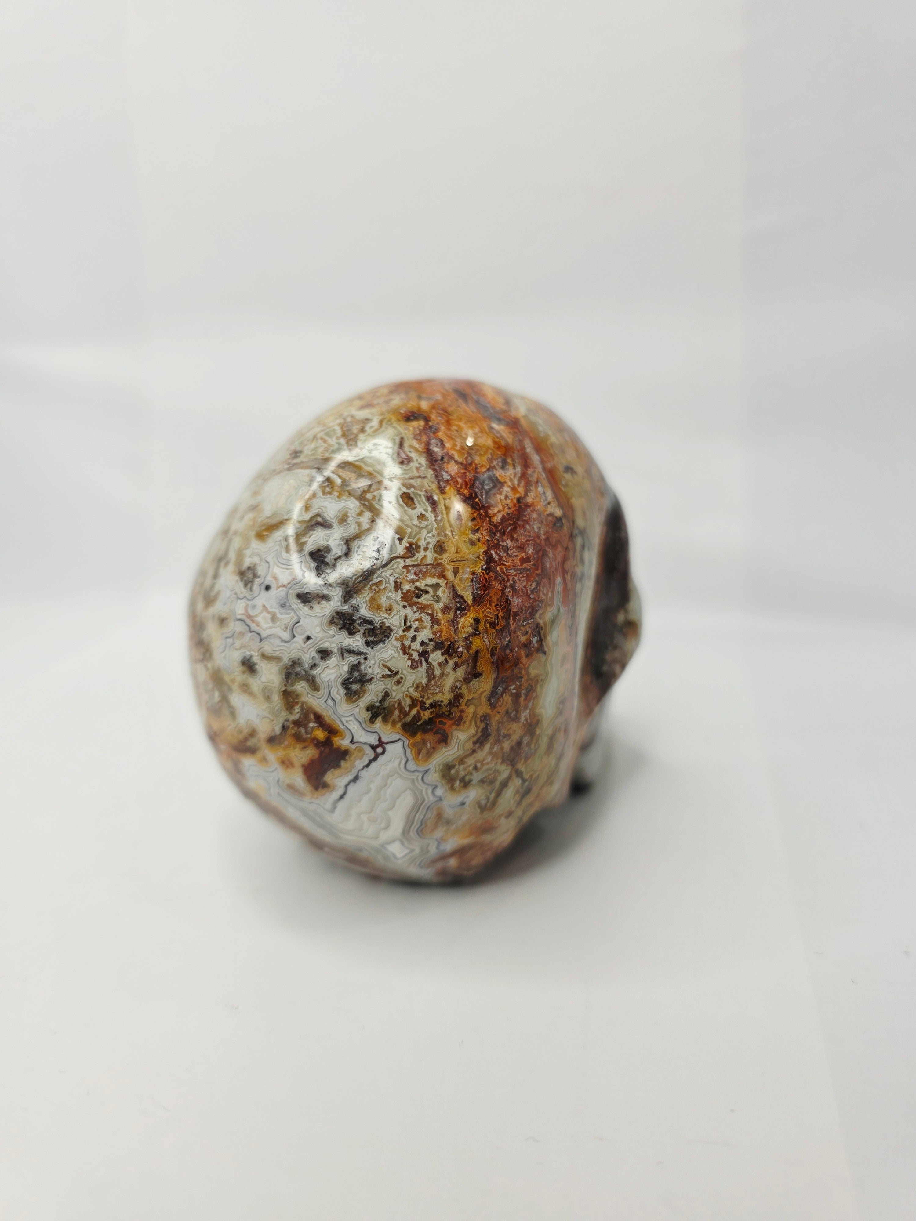 Mexican Crazy Lace Agate Skull (4 Inch) – Joy, Protection, and Grounding Crystal Carving