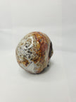 Mexican Crazy Lace Agate Skull (4 Inch) – Joy, Protection, and Grounding Crystal Carving