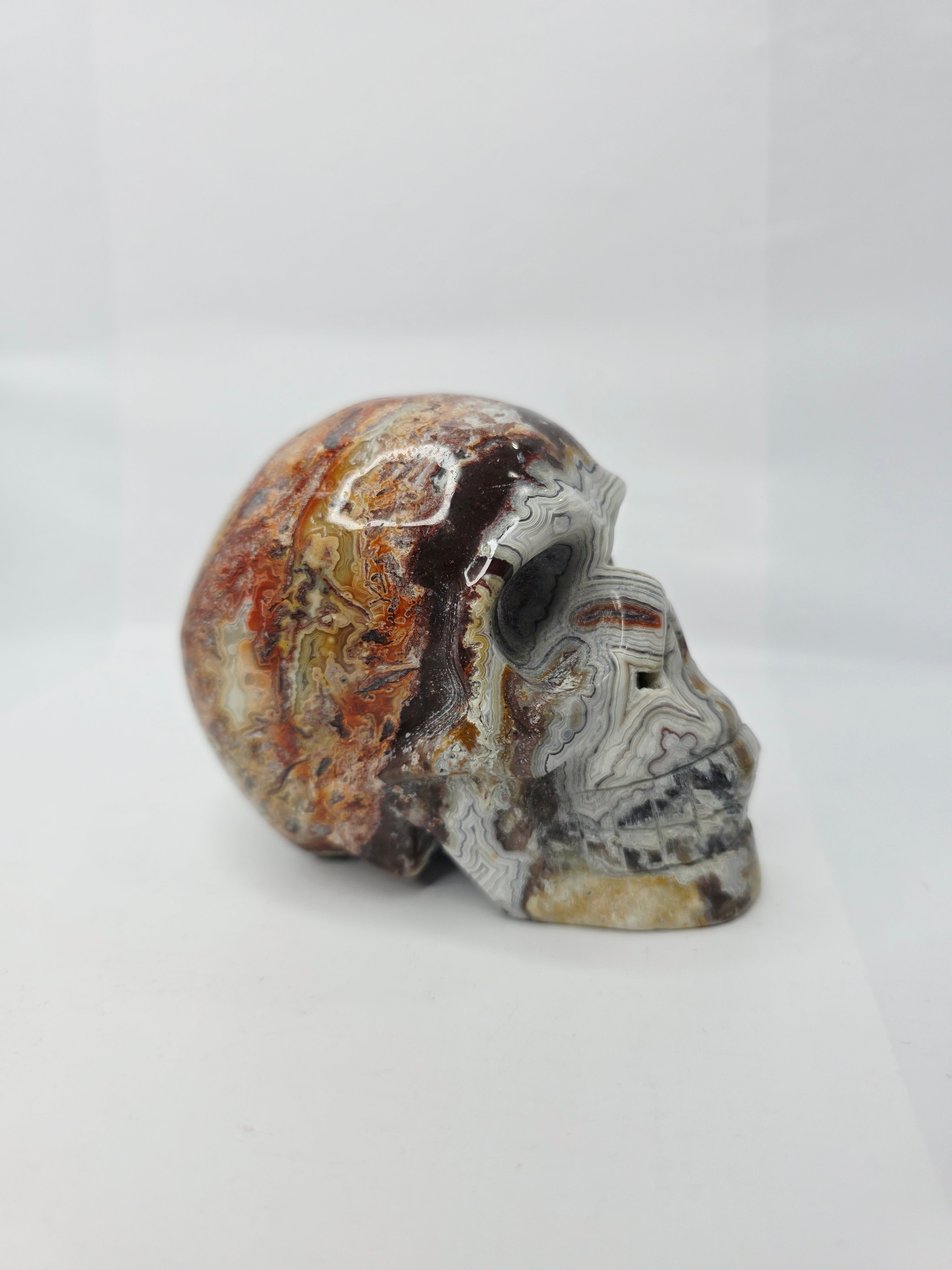 Mexican Crazy Lace Agate Skull (4 Inch) – Joy, Protection, and Grounding Crystal Carving