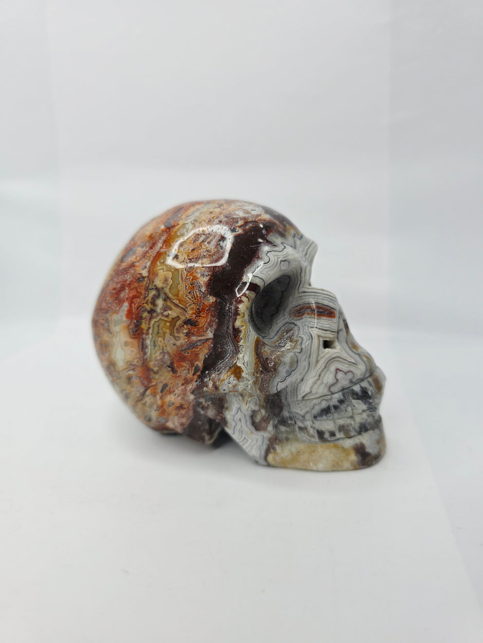 Mexican Crazy Lace Agate Skull (4 Inch) – Joy, Protection, and Grounding Crystal Carving