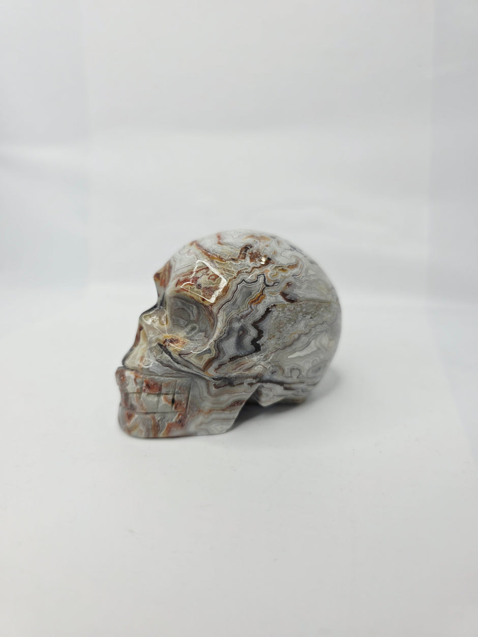 Mexican Crazy Lace Agate Skull (3 Inch) – Joy, Protection, and Grounding Crystal Carving