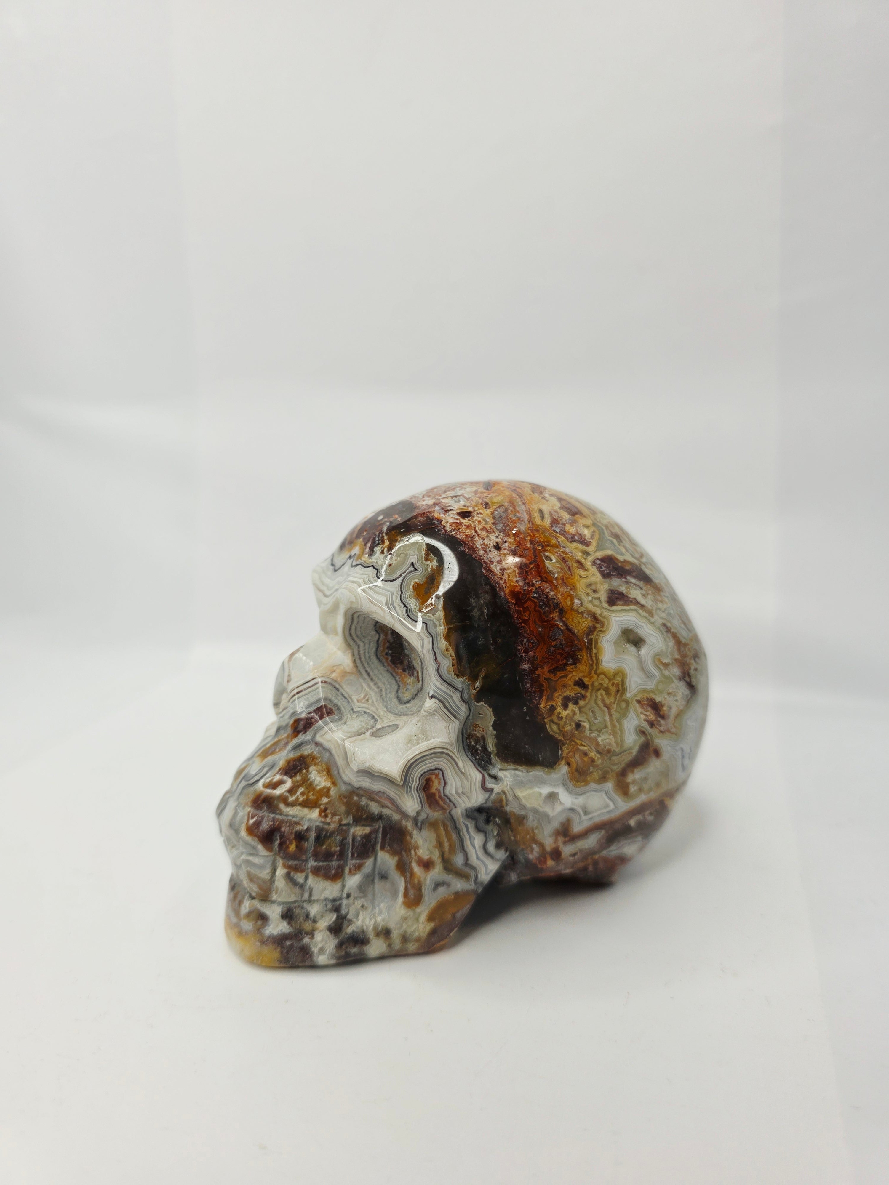 Mexican Crazy Lace Agate Skull (4 Inch) – Joy, Protection, and Grounding Crystal Carving