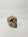 Mexican Crazy Lace Agate Skull (3 Inch) – Joy, Protection, and Grounding Crystal Carving