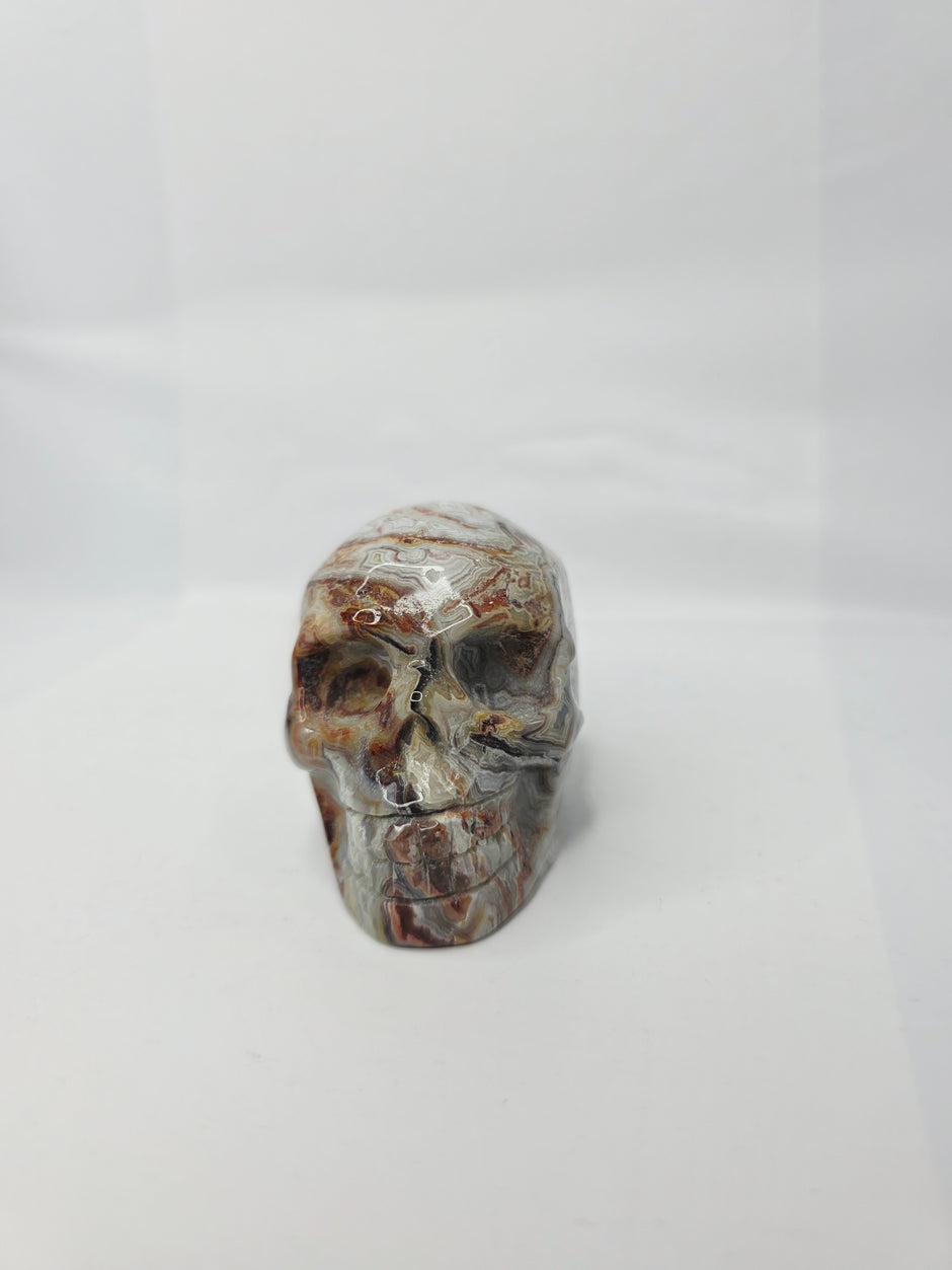 Mexican Crazy Lace Agate Skull (3 Inch) – Joy, Protection, and Grounding Crystal Carving