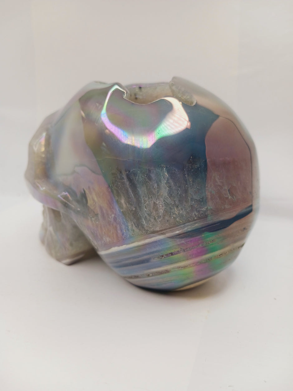 Agate Aura Coated Druzy Skull (6 x 4