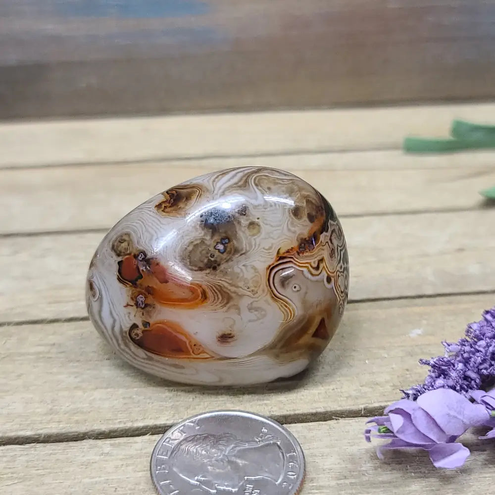 SardOnyx Palms - Medium - 02. SardOnyx Palm - PALM