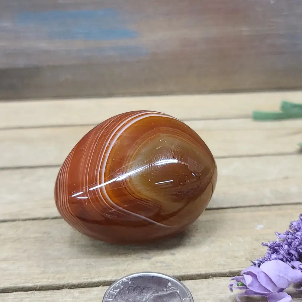 SardOnyx Palms - Medium - 03. SardOnyx Palm - PALM
