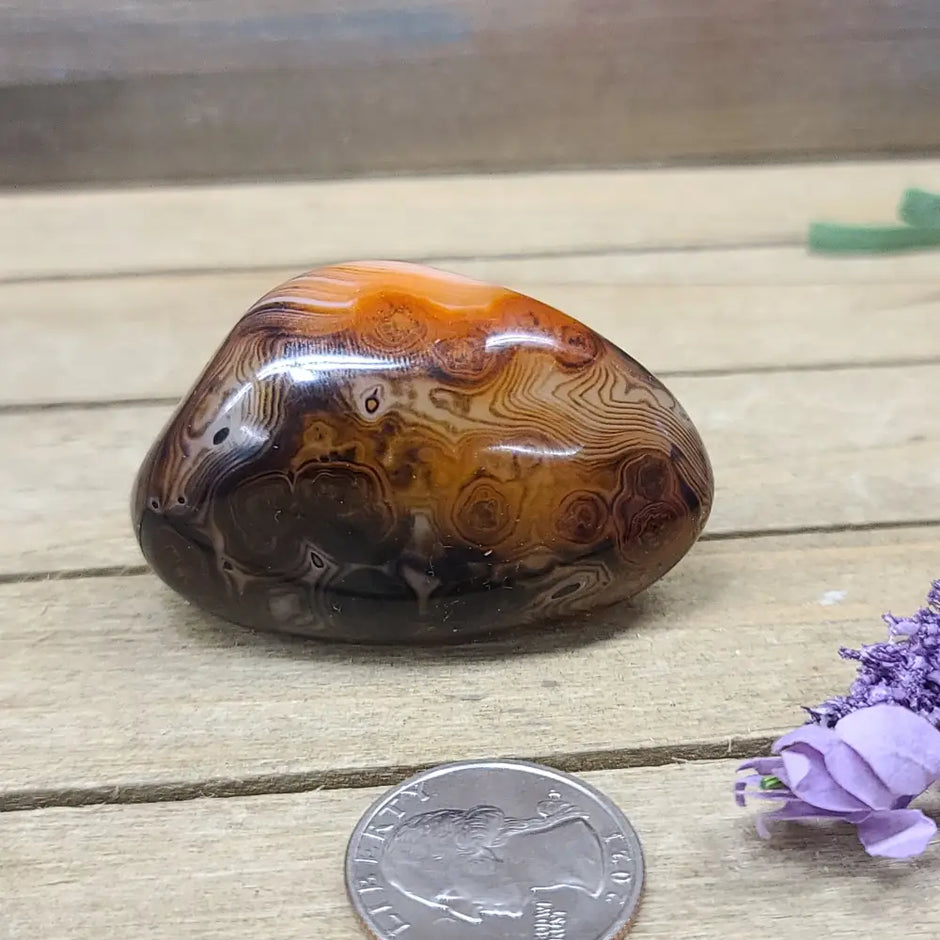 SardOnyx Palms - Medium - 04. SardOnyx Palm - PALM