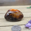 SardOnyx Palms - Medium - 04. SardOnyx Palm - PALM