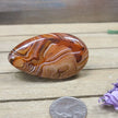 SardOnyx Palms - Medium - 05. SardOnyx Palm - PALM