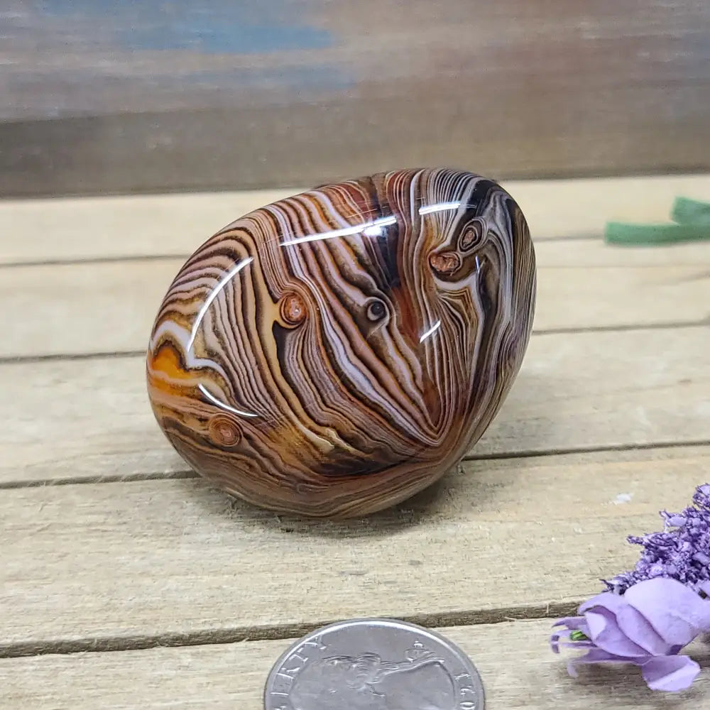 SardOnyx Palms - Medium - 06. SardOnyx Palm - PALM