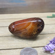 SardOnyx Palms - Medium - 07. SardOnyx Palm - PALM