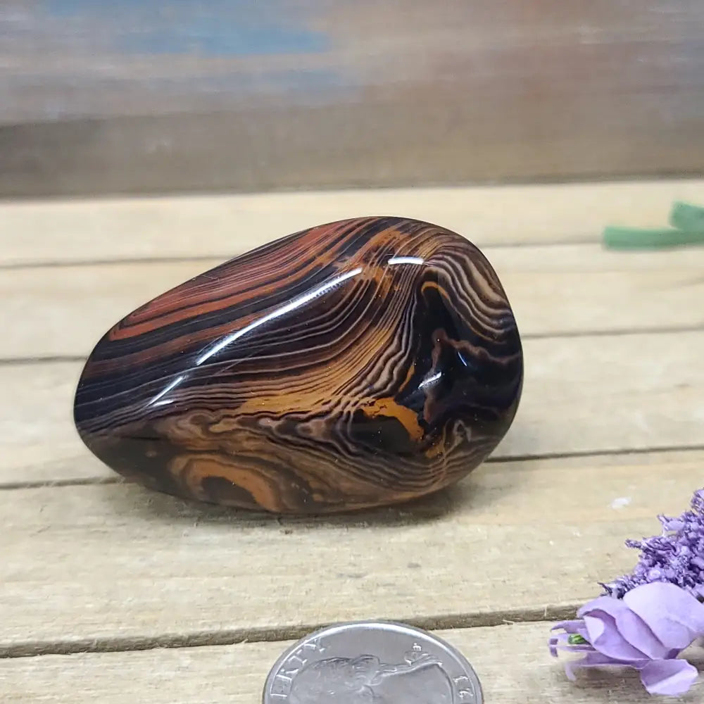 SardOnyx Palms - Medium - 08. SardOnyx Palm - PALM
