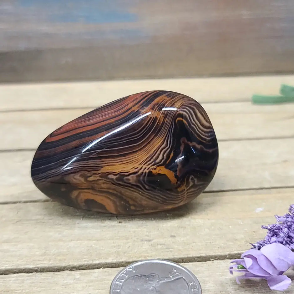 SardOnyx Palms - Medium - 08. SardOnyx Palm - PALM