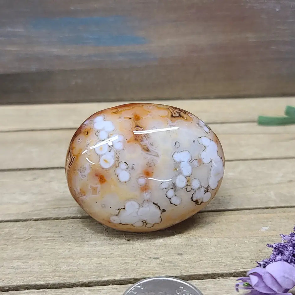 SardOnyx Palms - Medium - 09. SardOnyx Palm - PALM