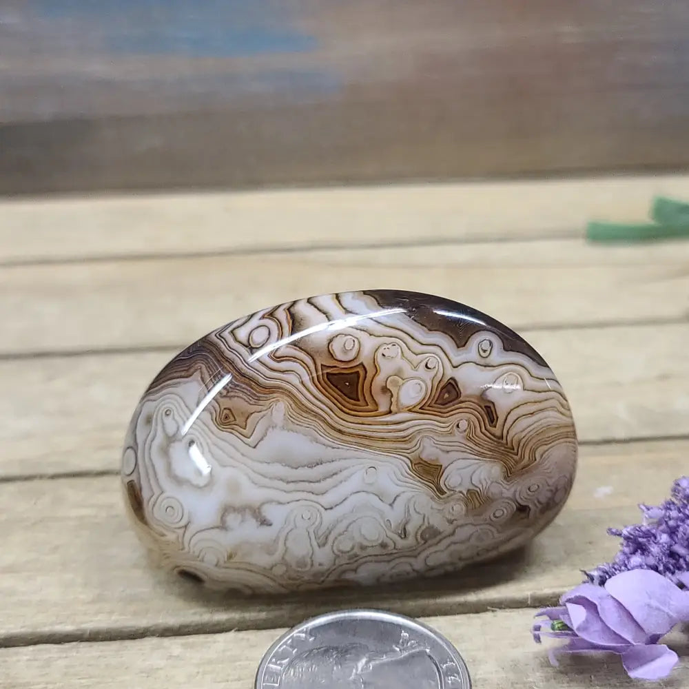 SardOnyx Palms - Medium - 10. SardOnyx Palm - PALM