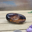 SardOnyx Palms - Medium - 11. SardOnyx Palm - PALM