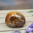 SardOnyx Palms - Medium - 13. SardOnyx Palm - PALM
