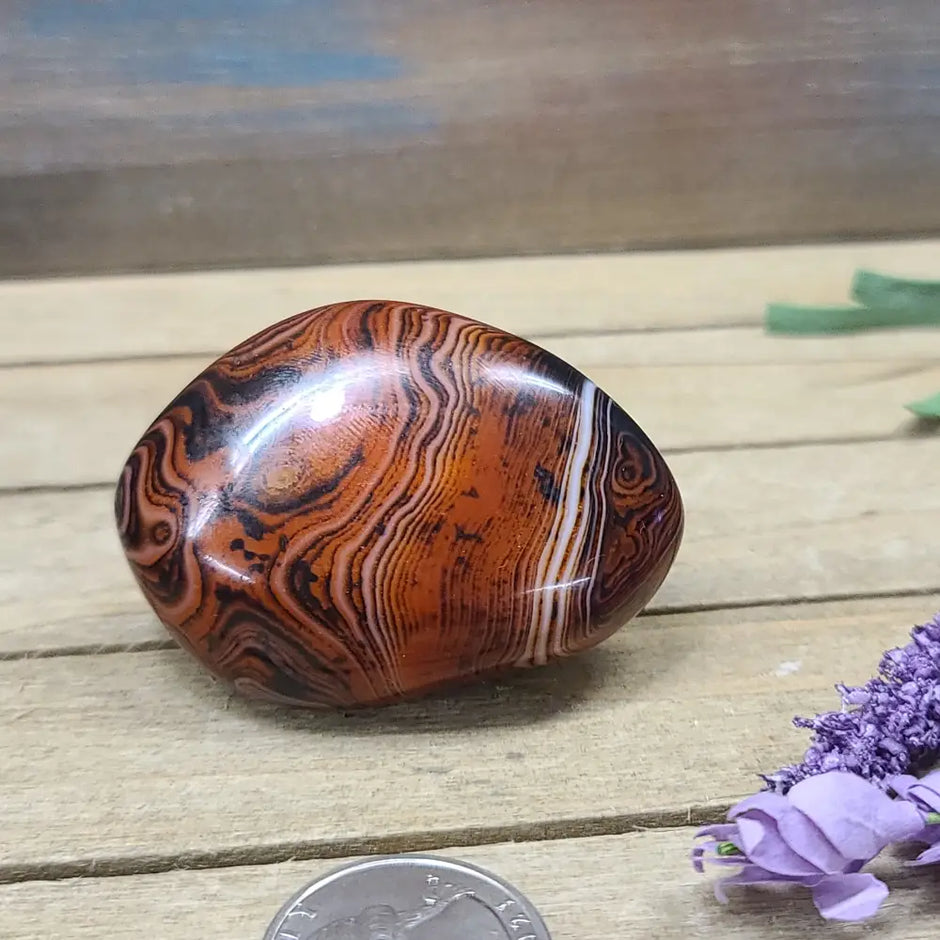 SardOnyx Palms - Medium - 14. SardOnyx Palm - PALM