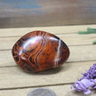 SardOnyx Palms - Medium - 14. SardOnyx Palm - PALM