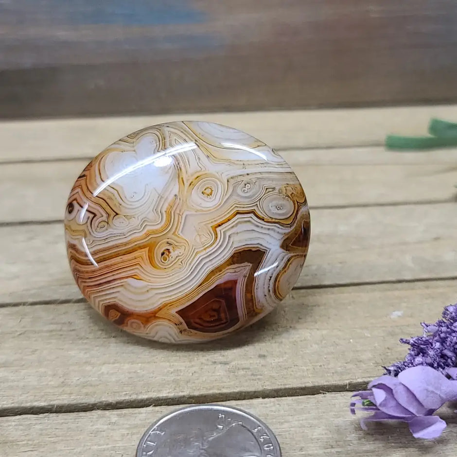 SardOnyx Palms - Medium - 15. SardOnyx Palm - PALM