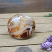 SardOnyx Palms - Medium - 15. SardOnyx Palm - PALM