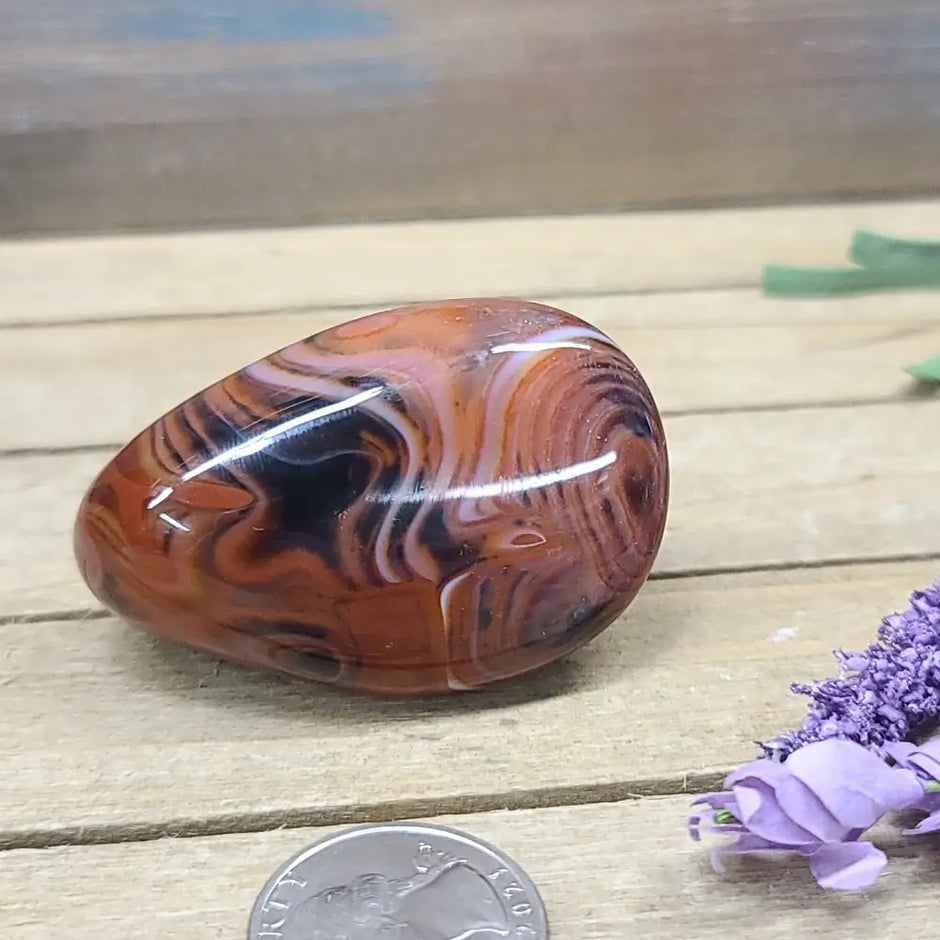 SardOnyx Palms - Medium - 16. SardOnyx Palm - PALM