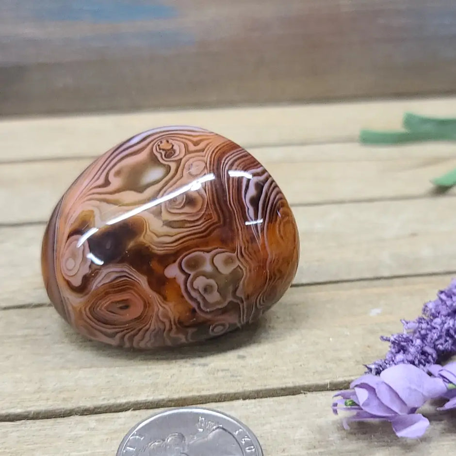 SardOnyx Palms - Medium - 17. SardOnyx Palm - PALM