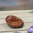 SardOnyx Palms - Medium - 20. SardOnyx Palm - PALM