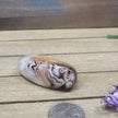 SardOnyx Palms - Medium - 23. SardOnyx Palm - PALM