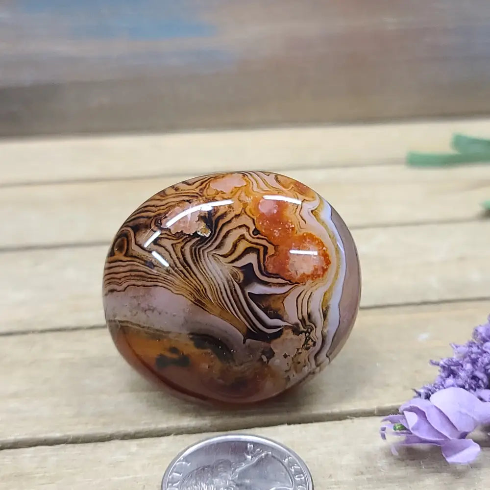 SardOnyx Palms - Medium - 24. SardOnyx Palm - PALM