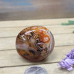 SardOnyx Palms - Medium - 24. SardOnyx Palm - PALM