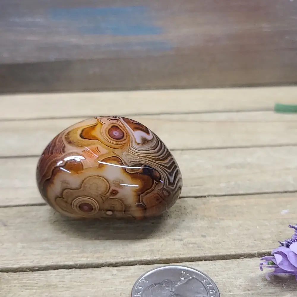SardOnyx Palms - Medium - 27. SardOnyx Palm - PALM
