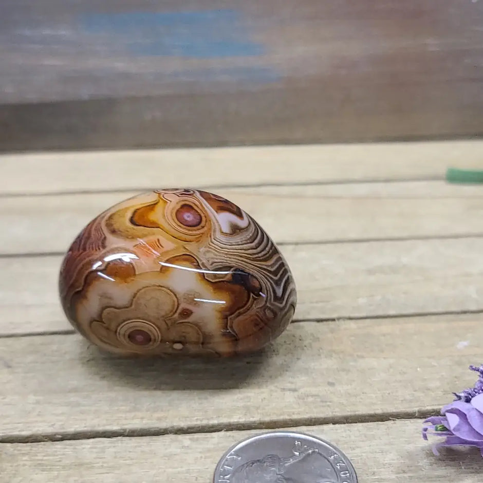 SardOnyx Palms - Medium - 27. SardOnyx Palm - PALM