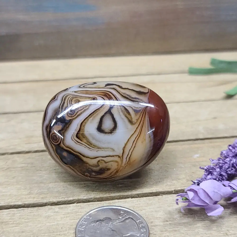 SardOnyx Palms - Medium - 30. SardOnyx Palm - PALM
