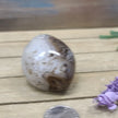 SardOnyx Palms - Medium - 31. SardOnyx Palm - PALM