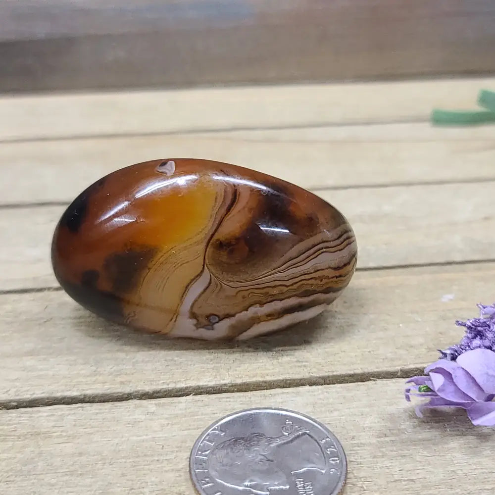 SardOnyx Palms - Medium - 32. SardOnyx Palm - PALM