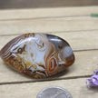 SardOnyx Palms - Medium - 33. SardOnyx Palm - PALM