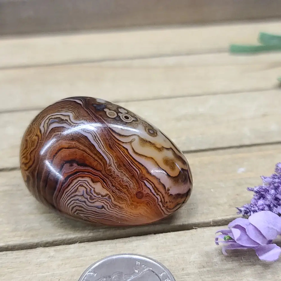 SardOnyx Palms - Medium - 34. SardOnyx Palm - PALM